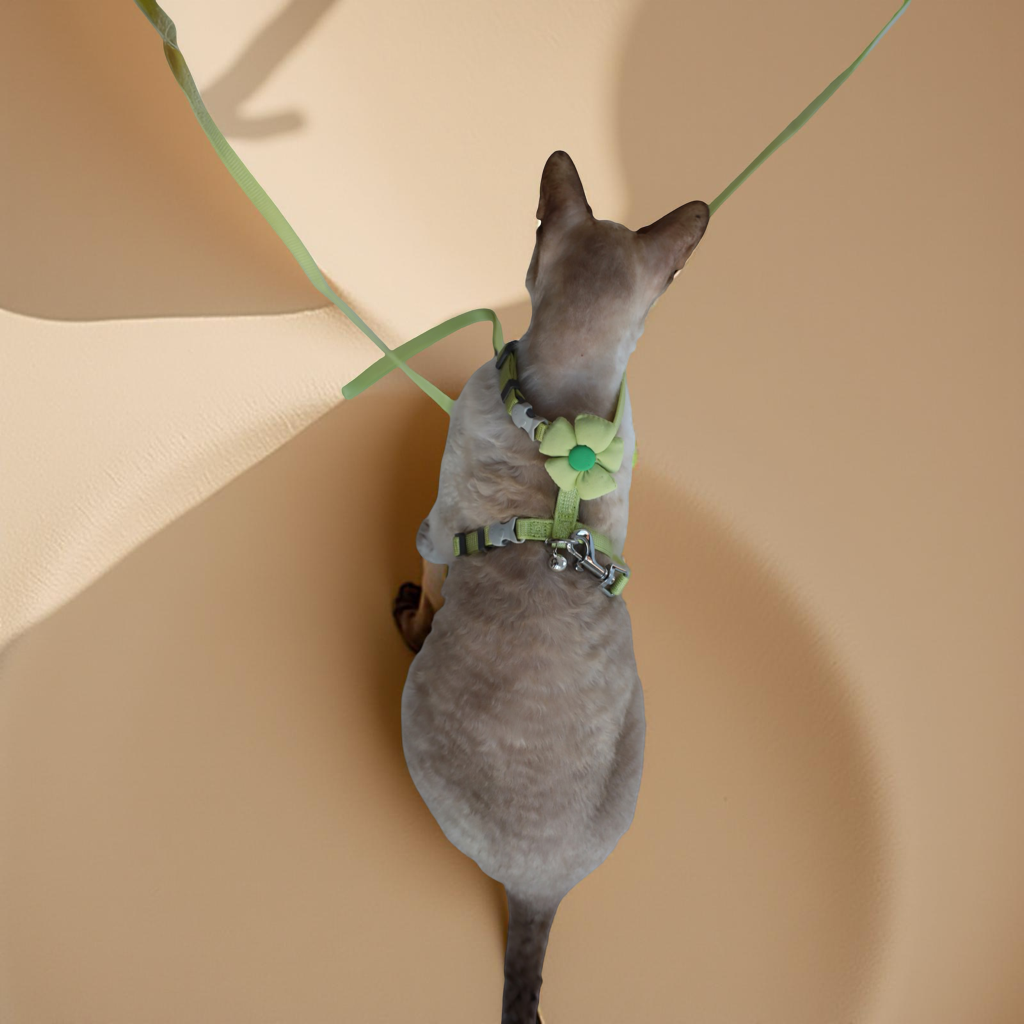 Postroj s vodítkem pro kočky Mint Blossom – bezpečný, nastavitelný a stylový