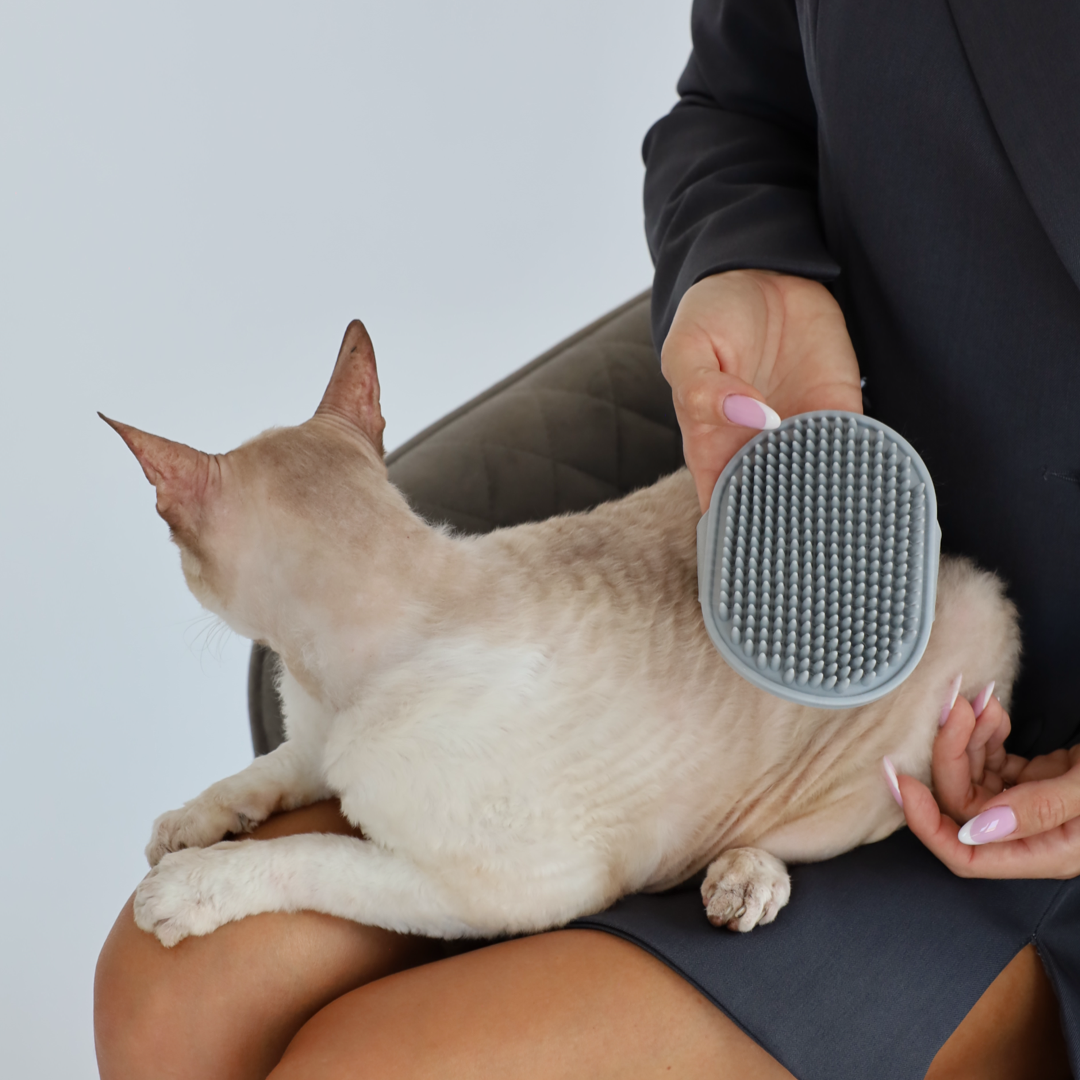 Masážní kartáč - grooming rukavice pro kočky i psy – Nunbell BPA Free