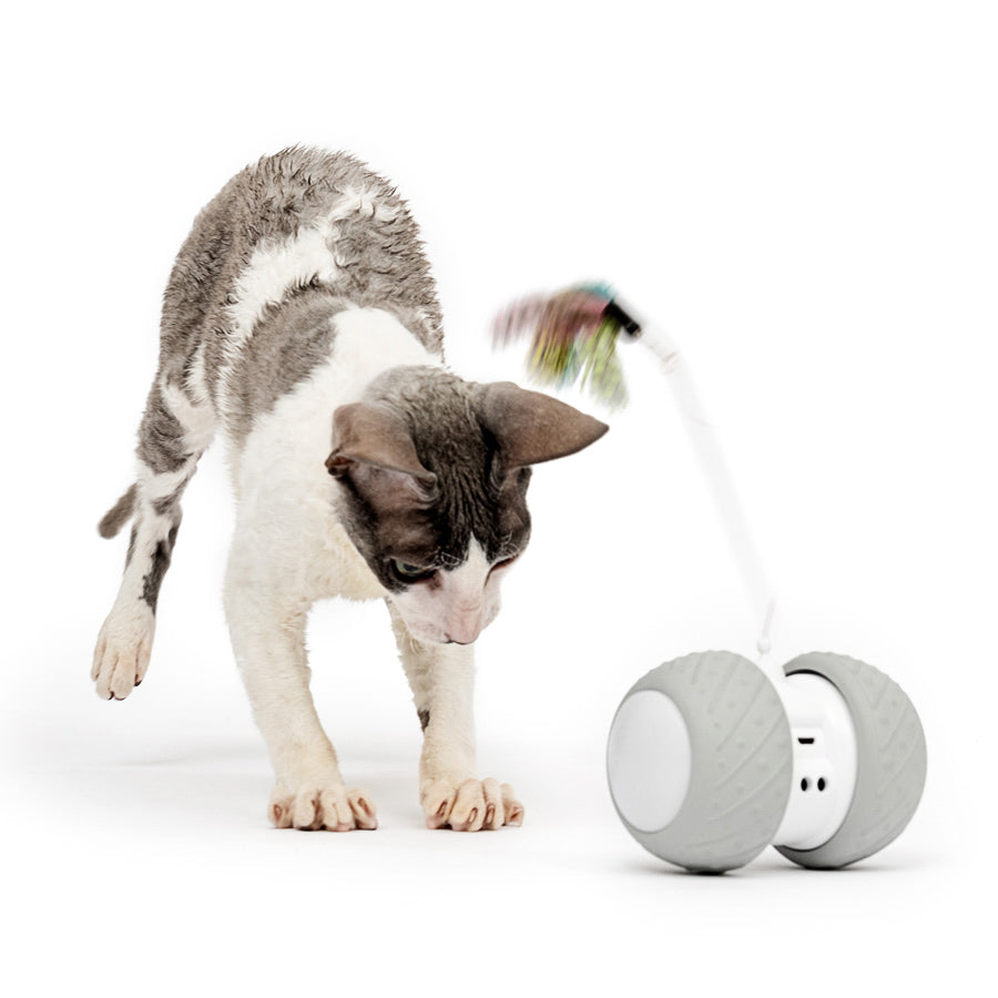 Smart toy with feathers