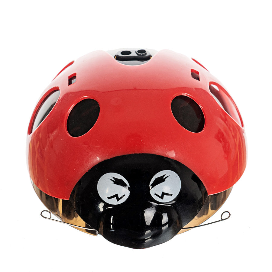 Crazy ladybug !ACTION! 1mm abrasion on the bottom part