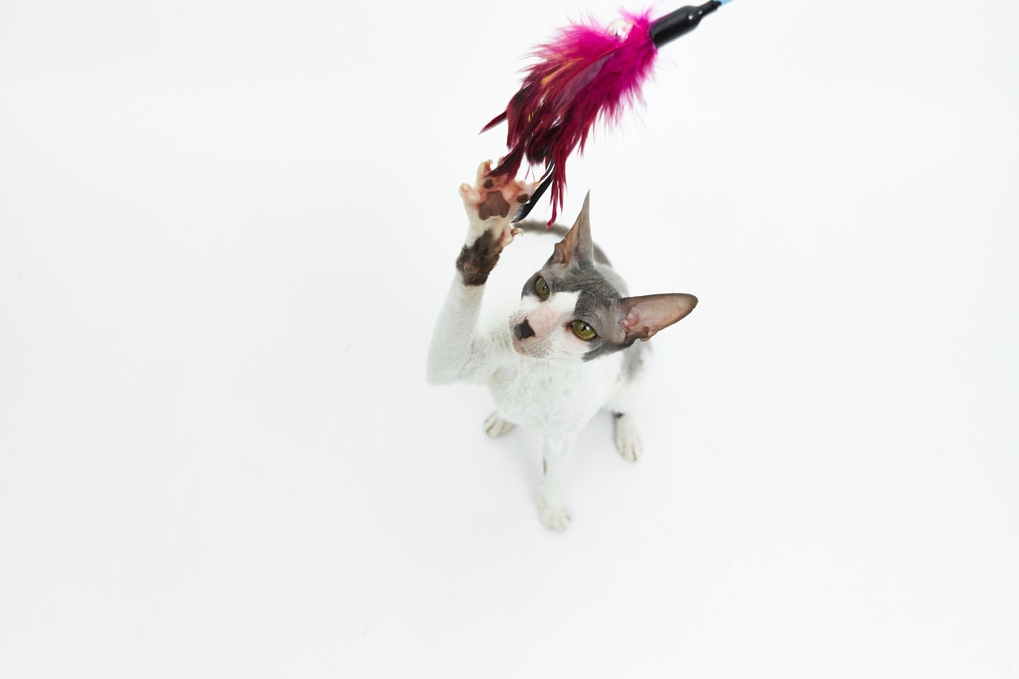 Feather rod with bell