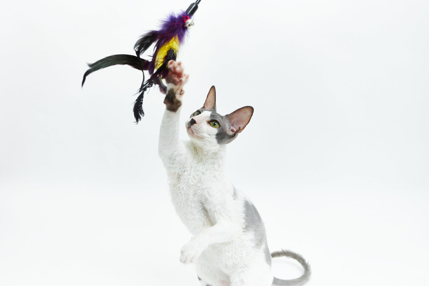 Feather rod with bell