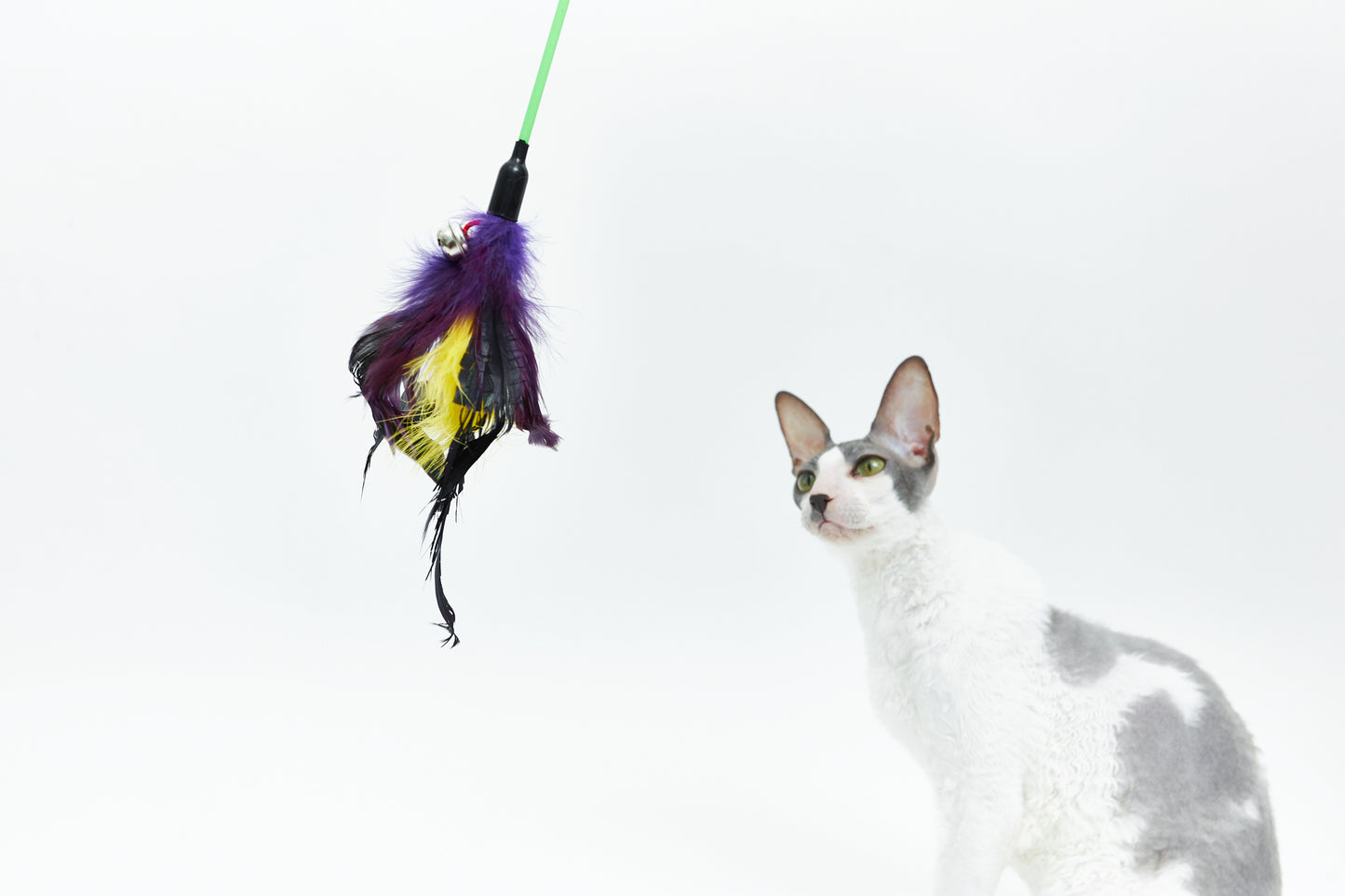Feather rod with bell