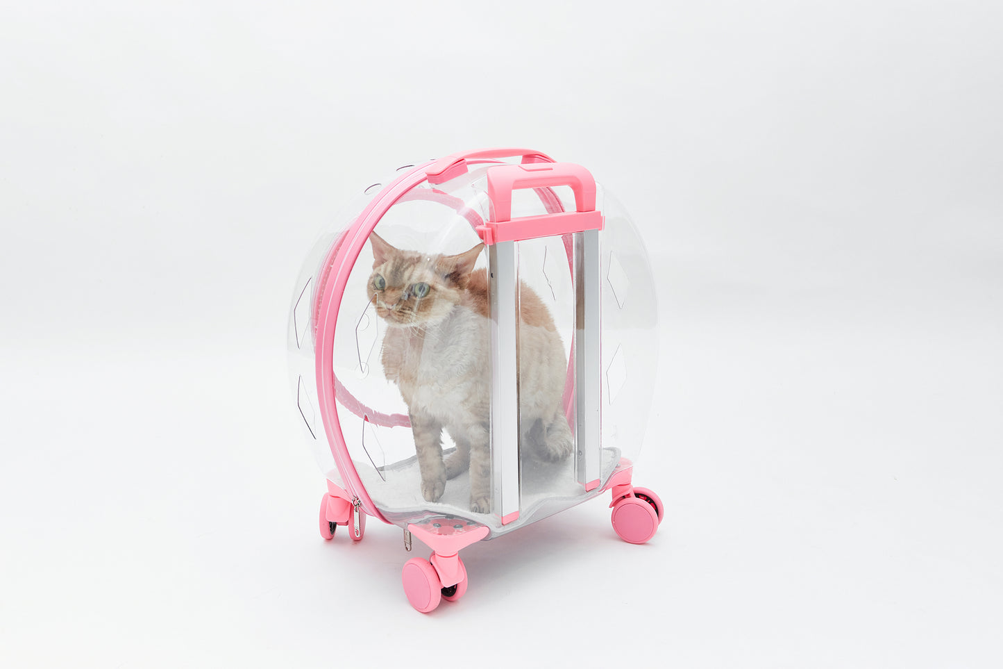 Crate on wheels