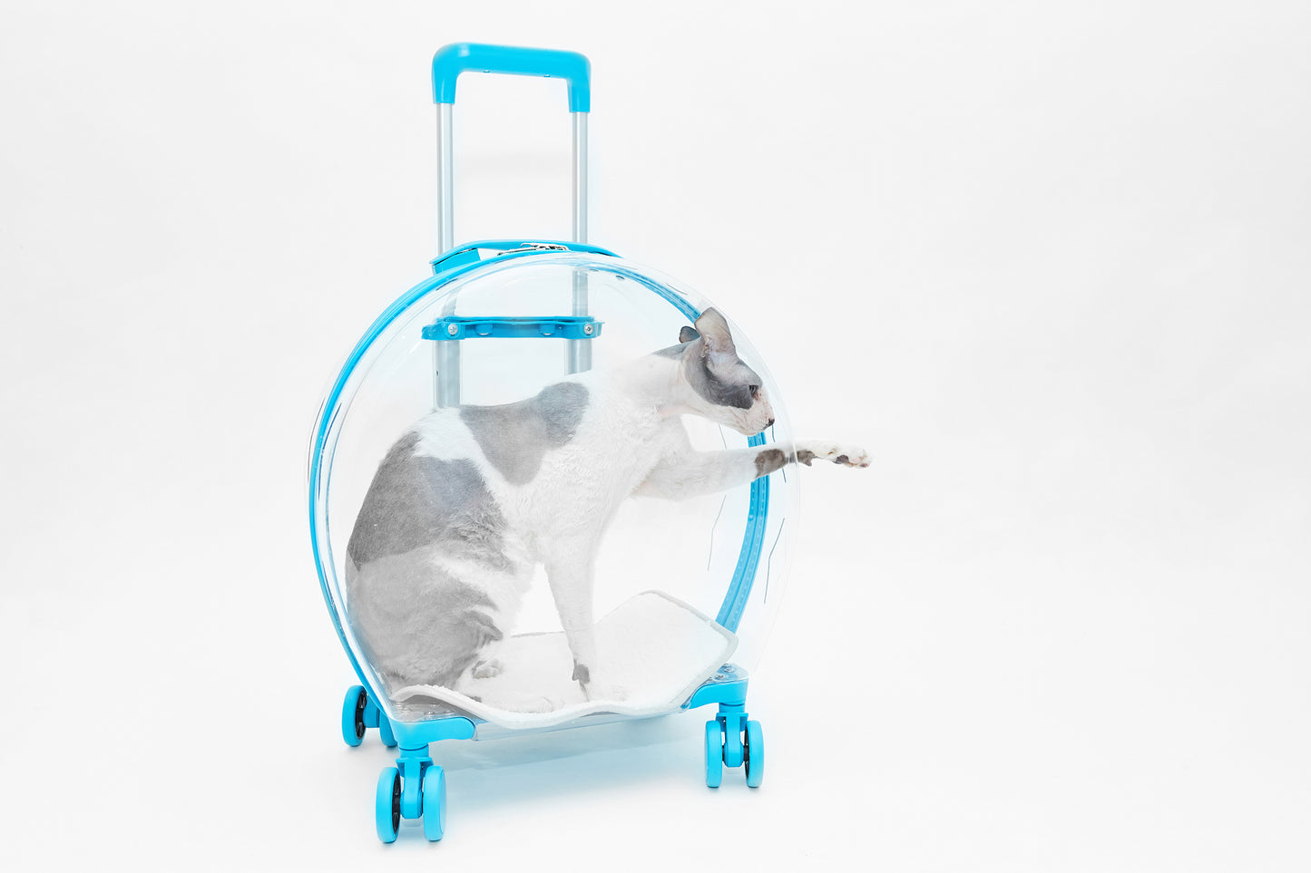 Crate on wheels