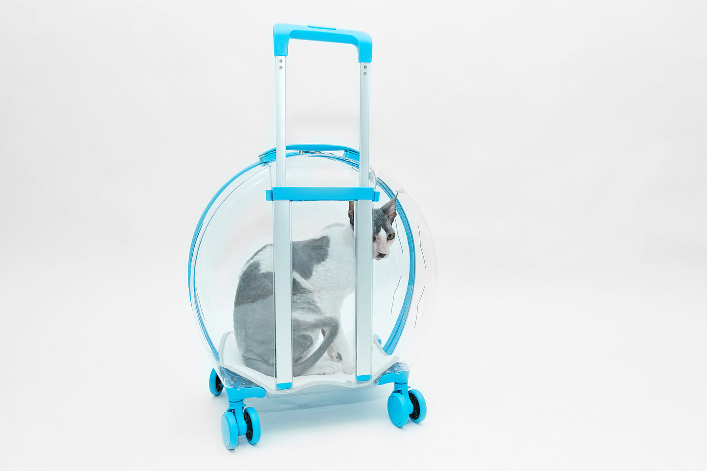 Crate on wheels