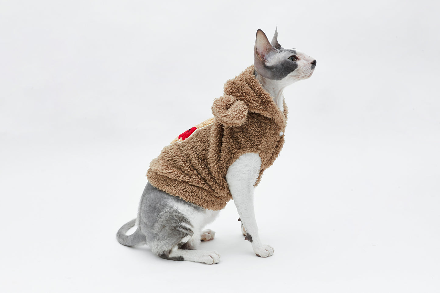 Warm sweatshirt with teddy bear