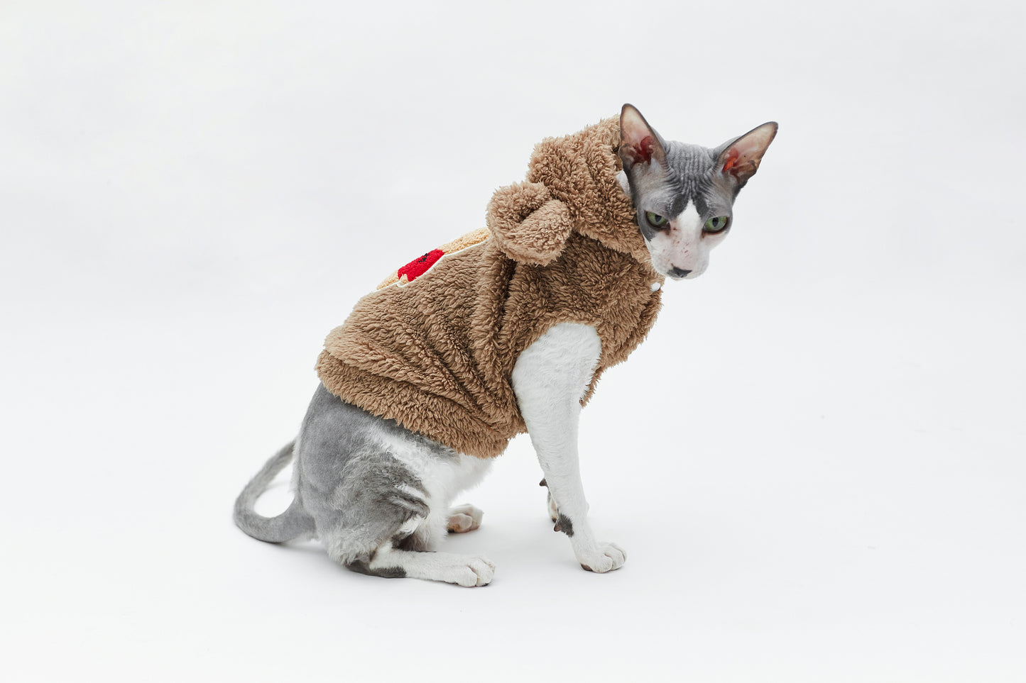 Warm sweatshirt with teddy bear