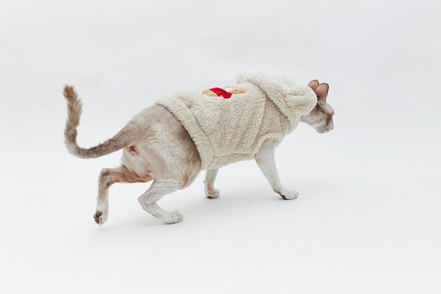 Warm sweatshirt with teddy bear