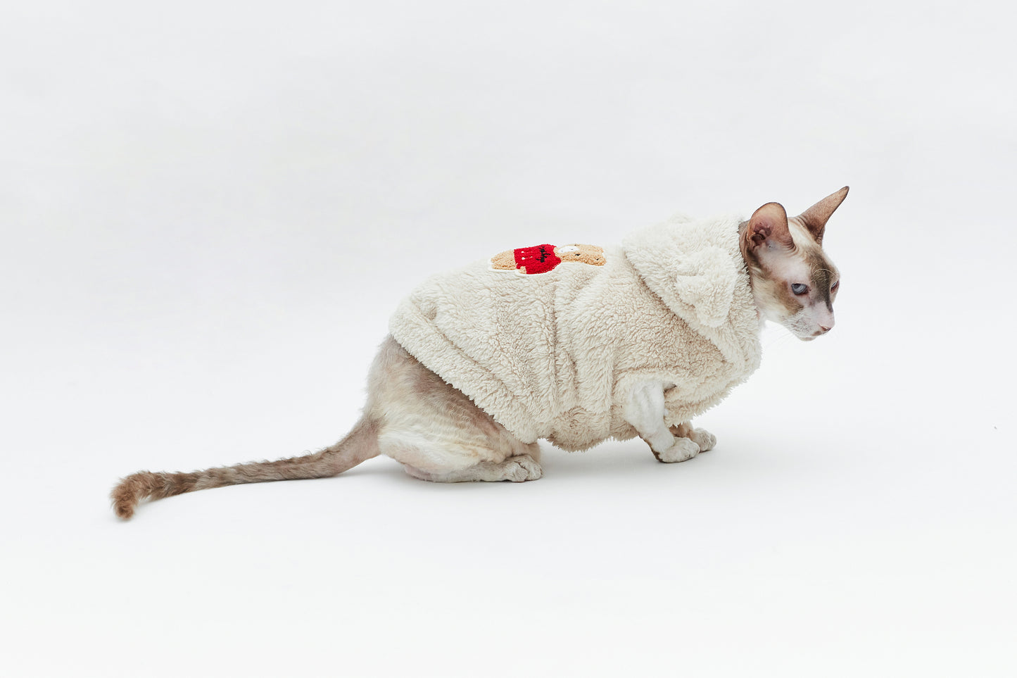 Warm sweatshirt with teddy bear