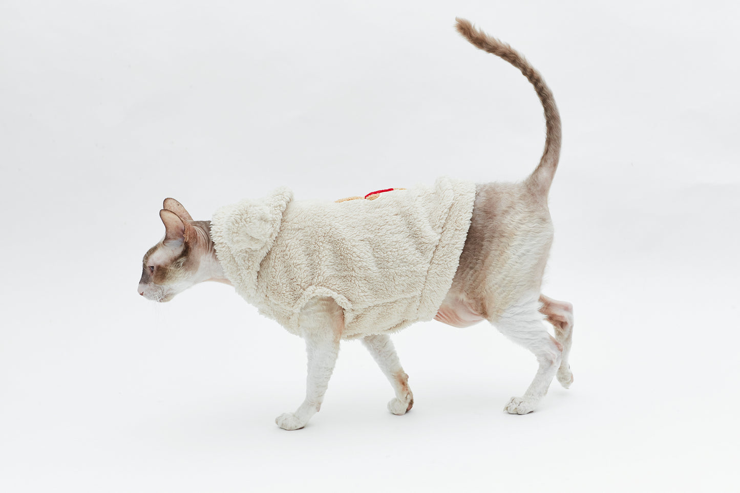 Warm sweatshirt with teddy bear