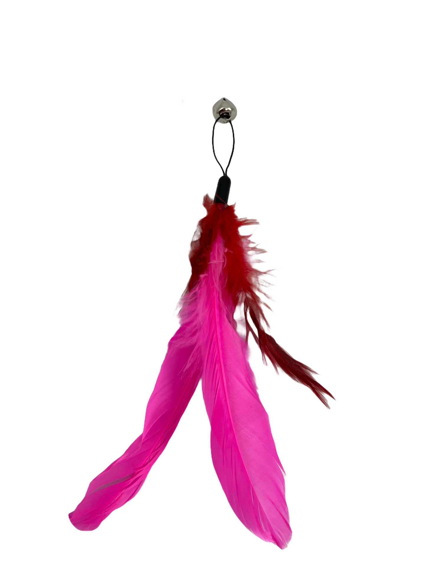 Smart toy with feathers