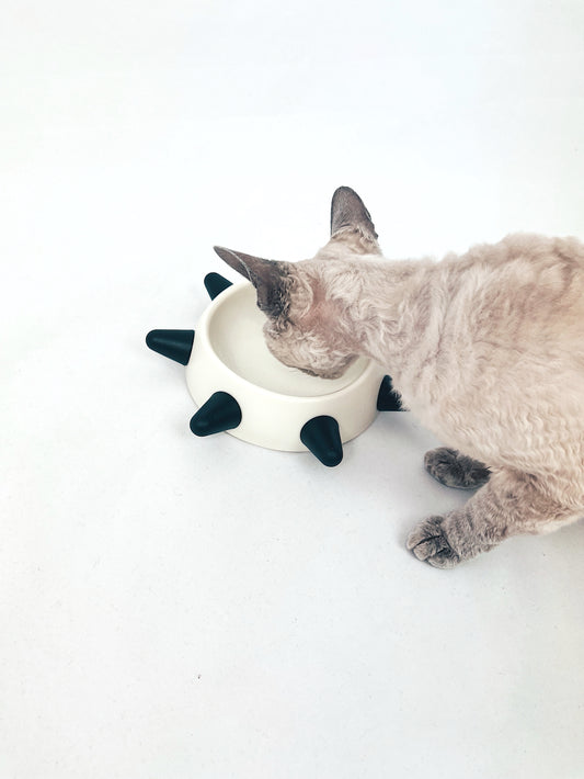 Miska Flinstone