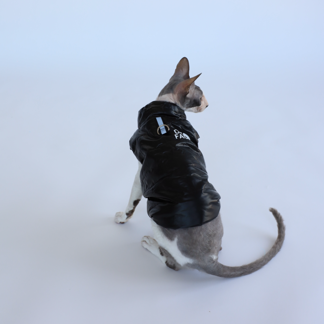 Luxusní zimní bunda pro psy a kočky THE DOG FACE