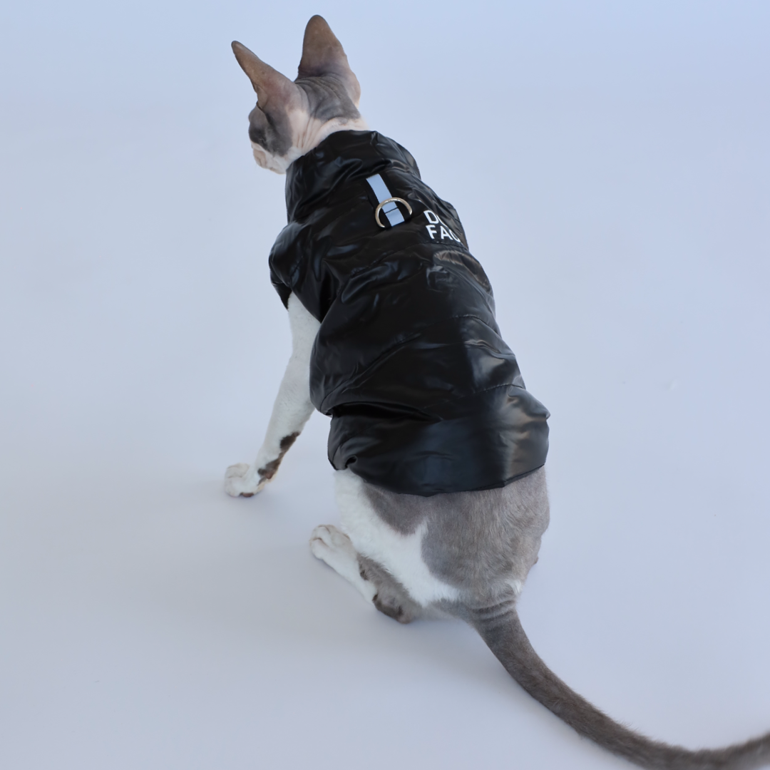 Luxusní zimní bunda pro psy a kočky THE DOG FACE