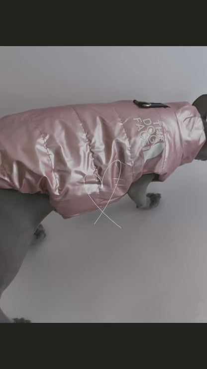 Luxusní zimní bunda pro psy a kočky THE DOG FACE