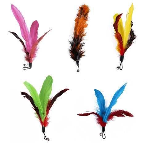 Replacement feathers for smart toy