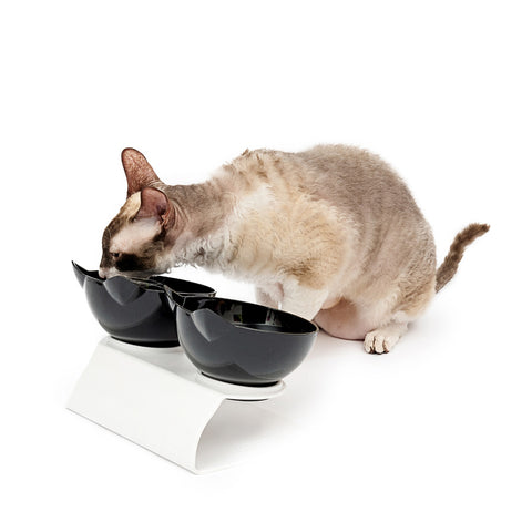 Cat head shaped bowls - set