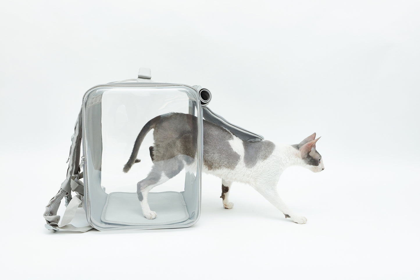 Kočičí přepravka - batůžek