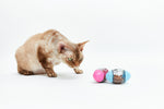 Dreams toy - egg