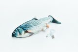 Dry fish with a bag of shanty